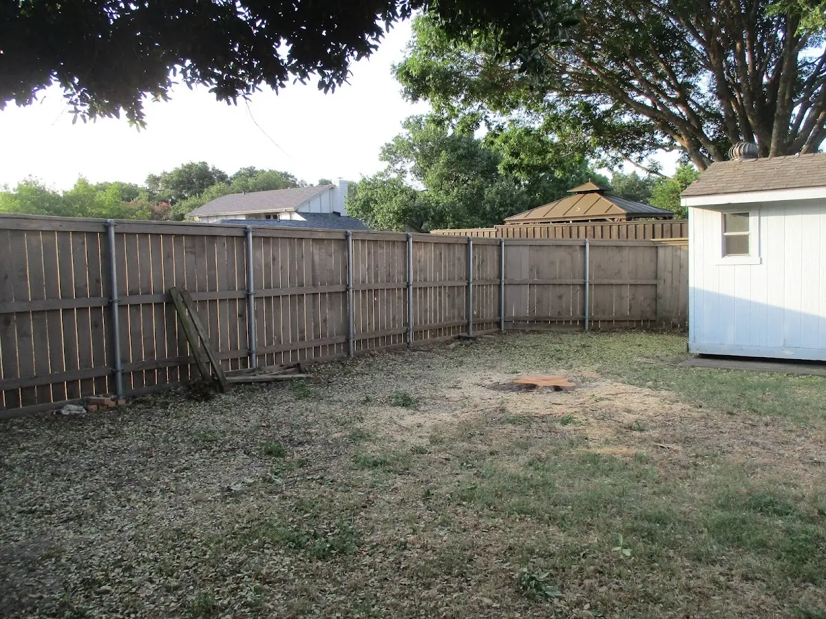 Cleared yard after professional tree removal in Vernon Center
