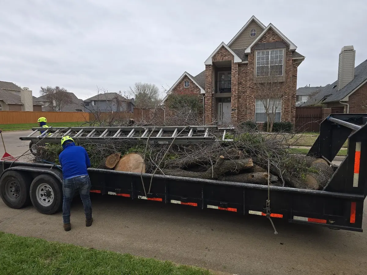 Expert Tree Pest Control with proper safety equipment in Vernon Center